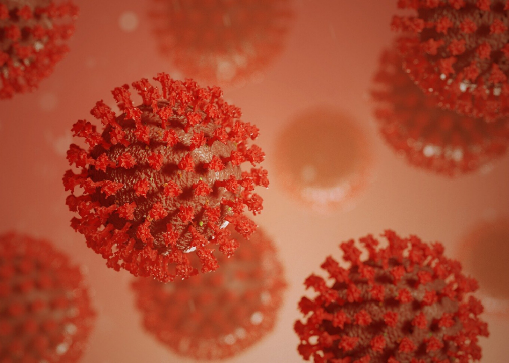 25 virology terms to help you understand outbreaks, from the common cold to COVID-19
